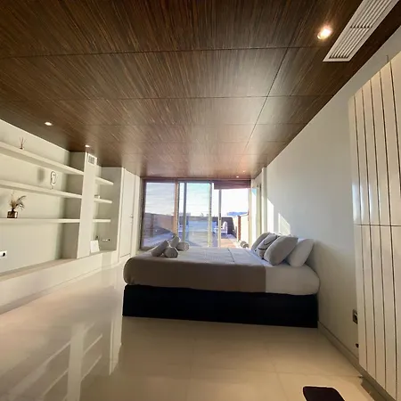 Penthouse With Castle View 公寓 阿利坎特