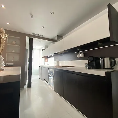Penthouse With Castle View Apartment